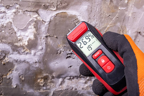 Best Crawl Space Mold Remediation in Monument Hills, CA